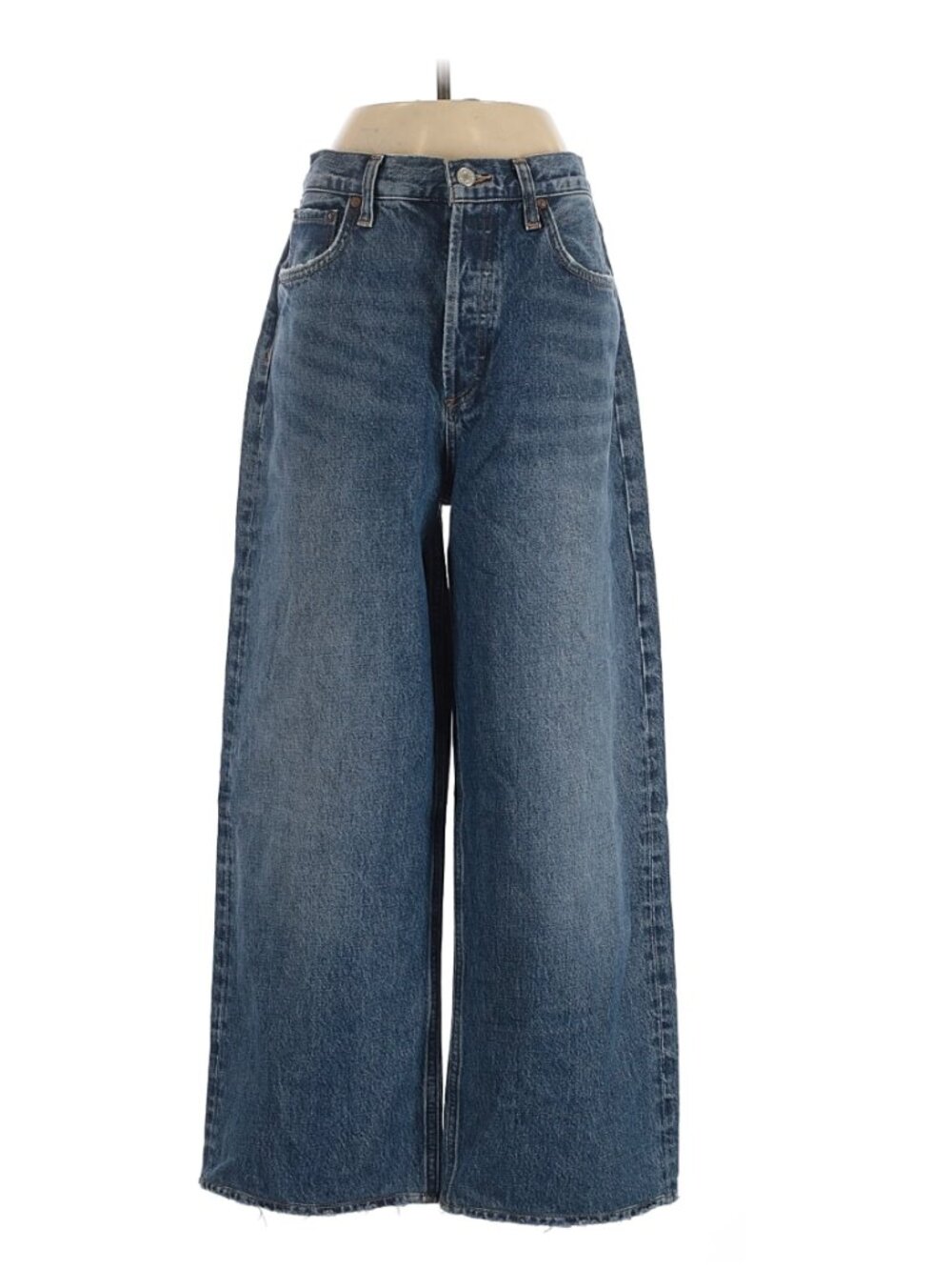 Agolde Low Slung Baggy Jean